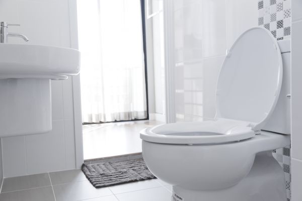 Toilet Relocation in Fishers